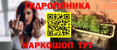 СК Чебоксары