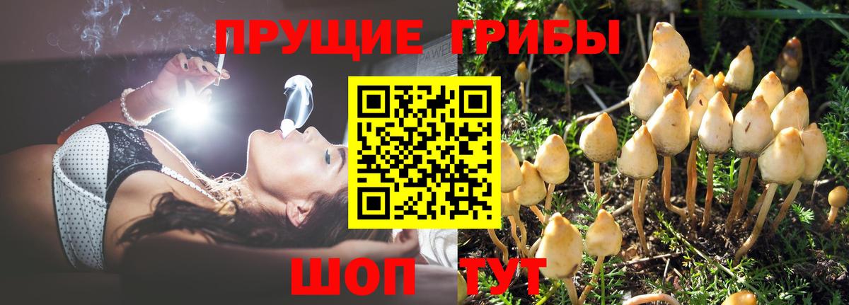 Галлюциногенные грибы Magic Shrooms  Галлюциногенные грибы мицелий  цена   Вход с VPN  Воркута 
