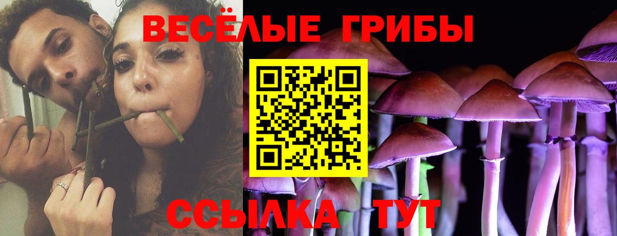 Галлюциногенные грибы Psilocybe Воркута